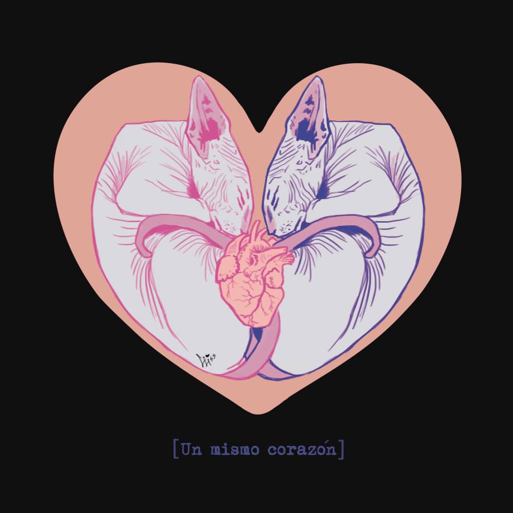 Un mismo corazón